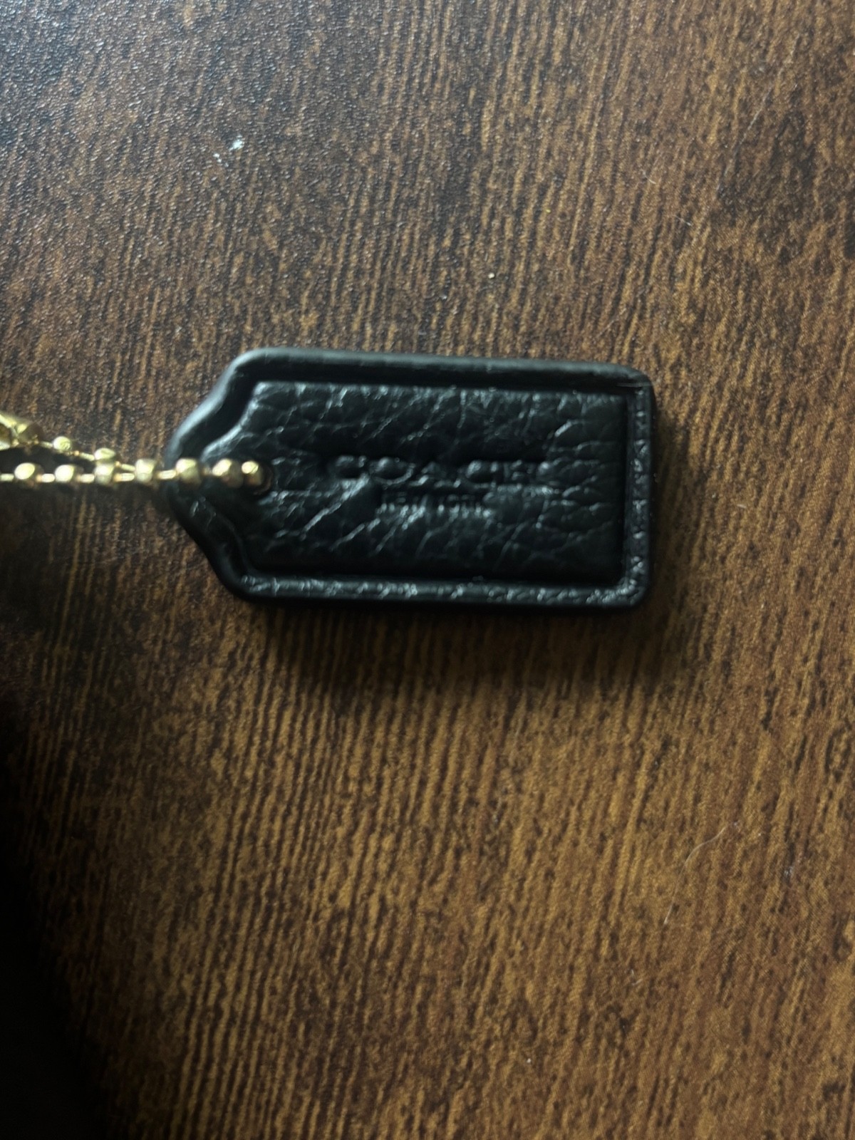 Coach Nolita 19 Shoulder Bag