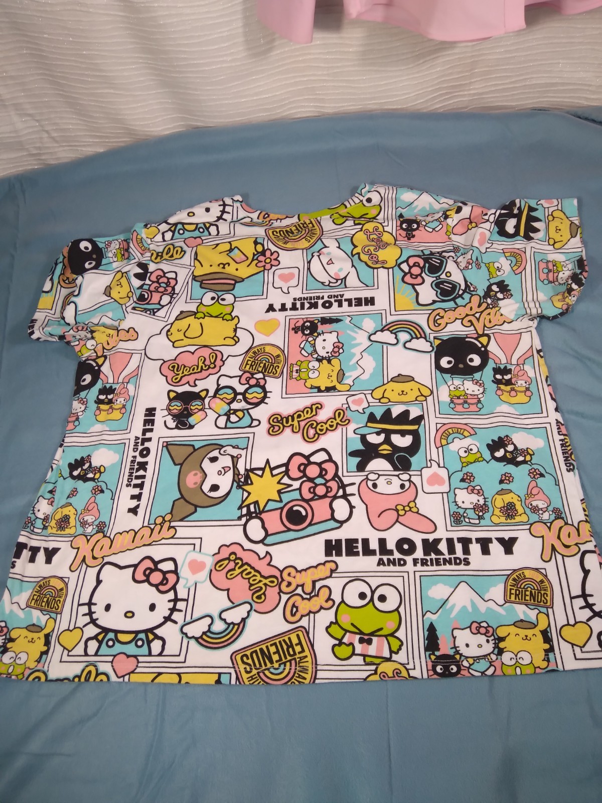 SANRIO HELLO KITTY AND FRIENDS WOMEN’S PLUS T-SHIRT CARTOON GRAPHICS 3X