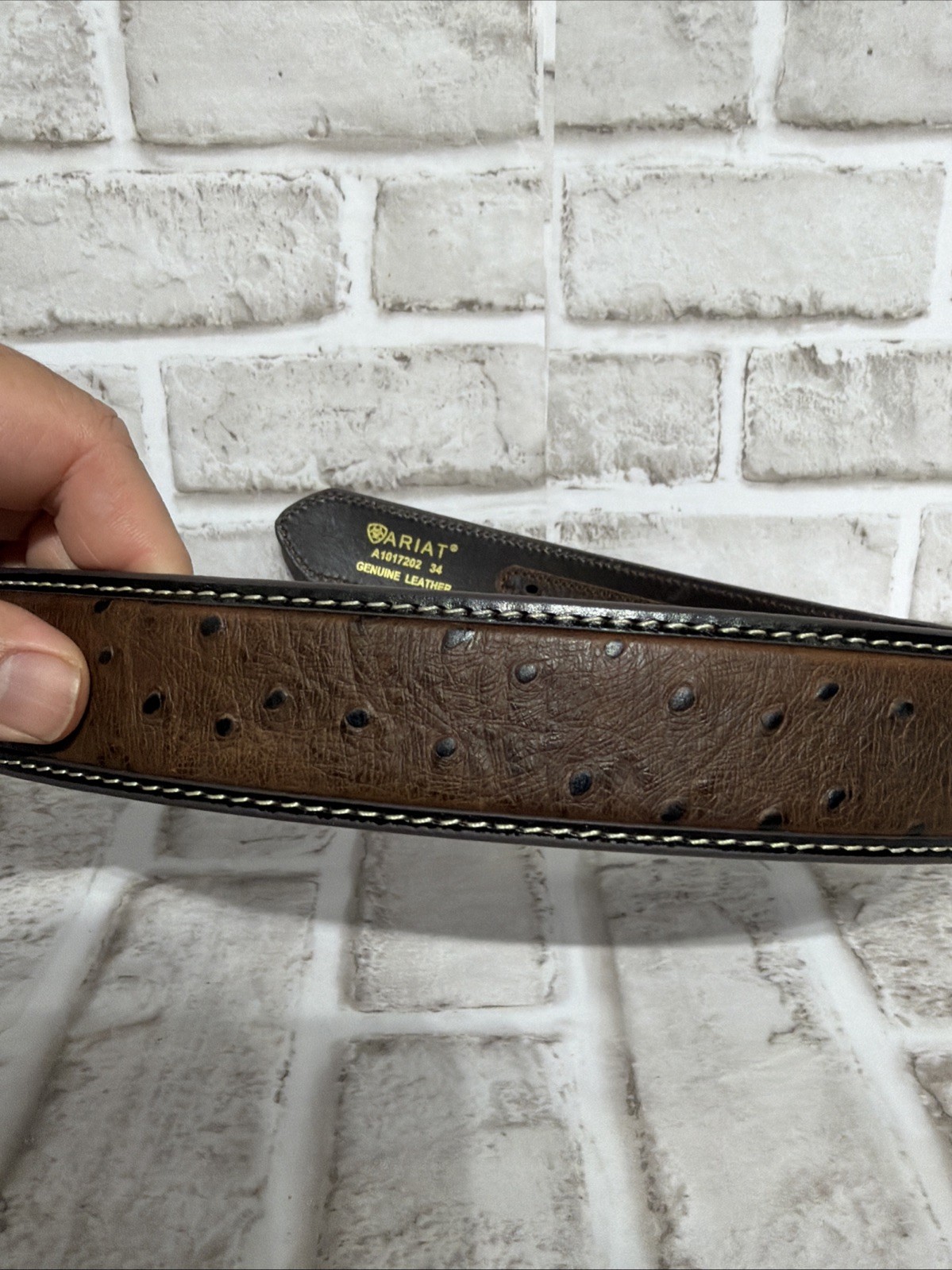 Ariat Men Limited Edition Ostrich Tooled Brown Leather Belt Only No Buckle Sz 34