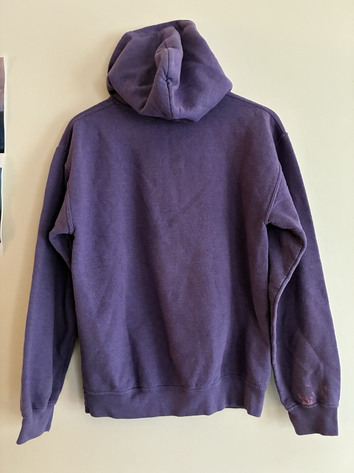 Gildan Women’s Glitter Madison Wisconsin Cotton Polyester Blend Hoodie Purple S