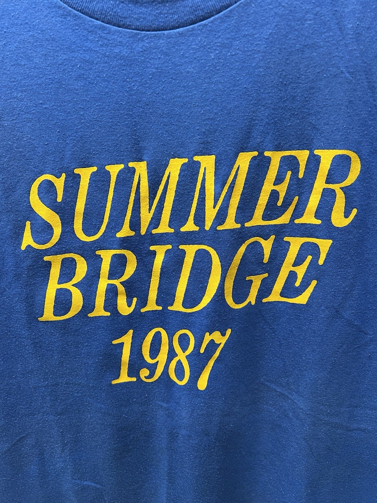 Vintage 1980s Summer Education T-Shirt Adult Large CHED By Anvil Tee