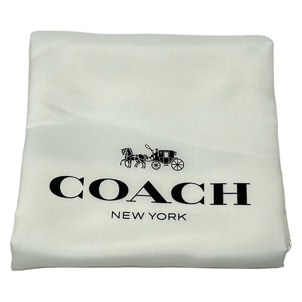 COACH Swing Zip Bag 20 Light Blue Leather Shoulder Bag Auth From Japan