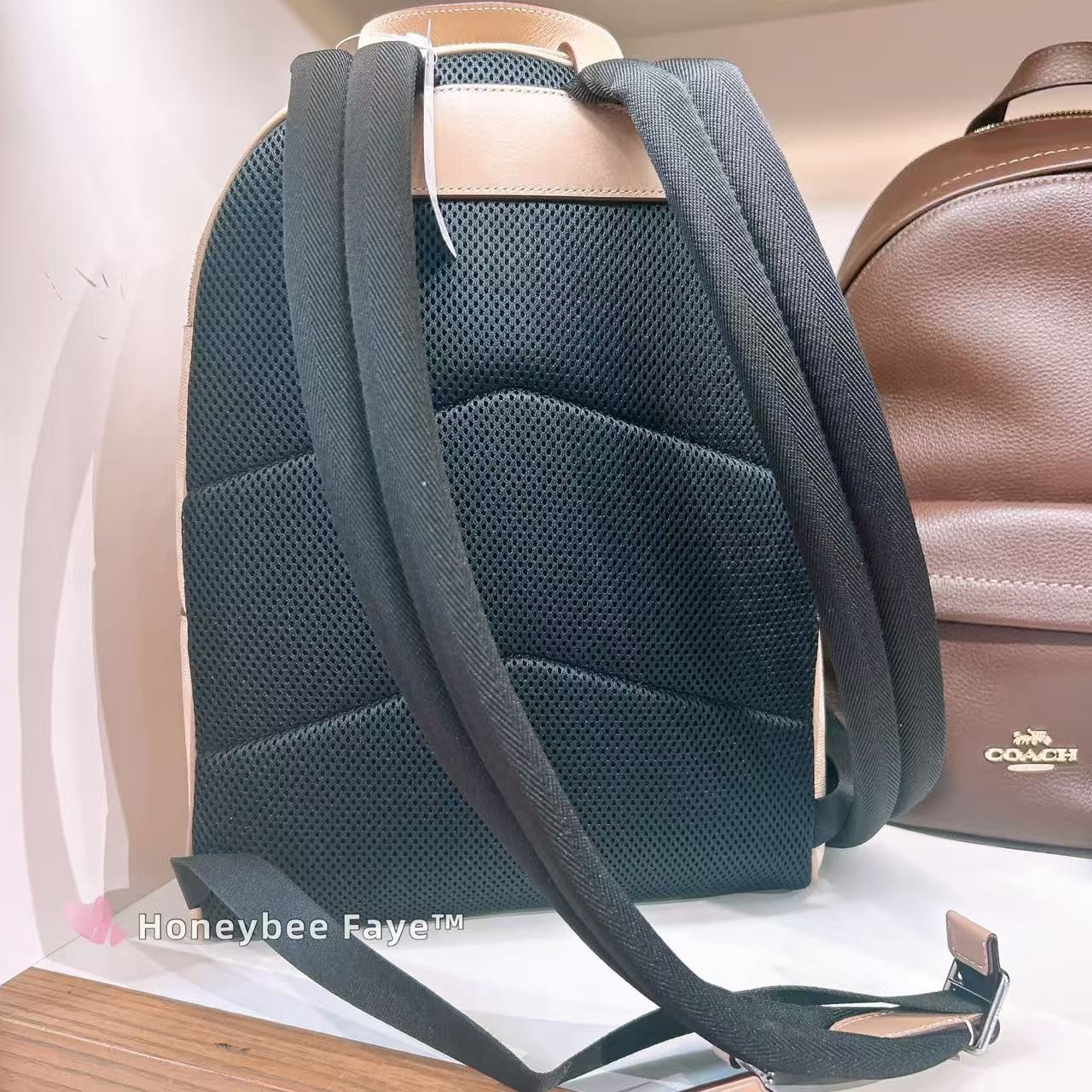 NWT Coach Taylor Small Backpack In Signature Canvas CDW76/CDW78/CEF46/CEF27