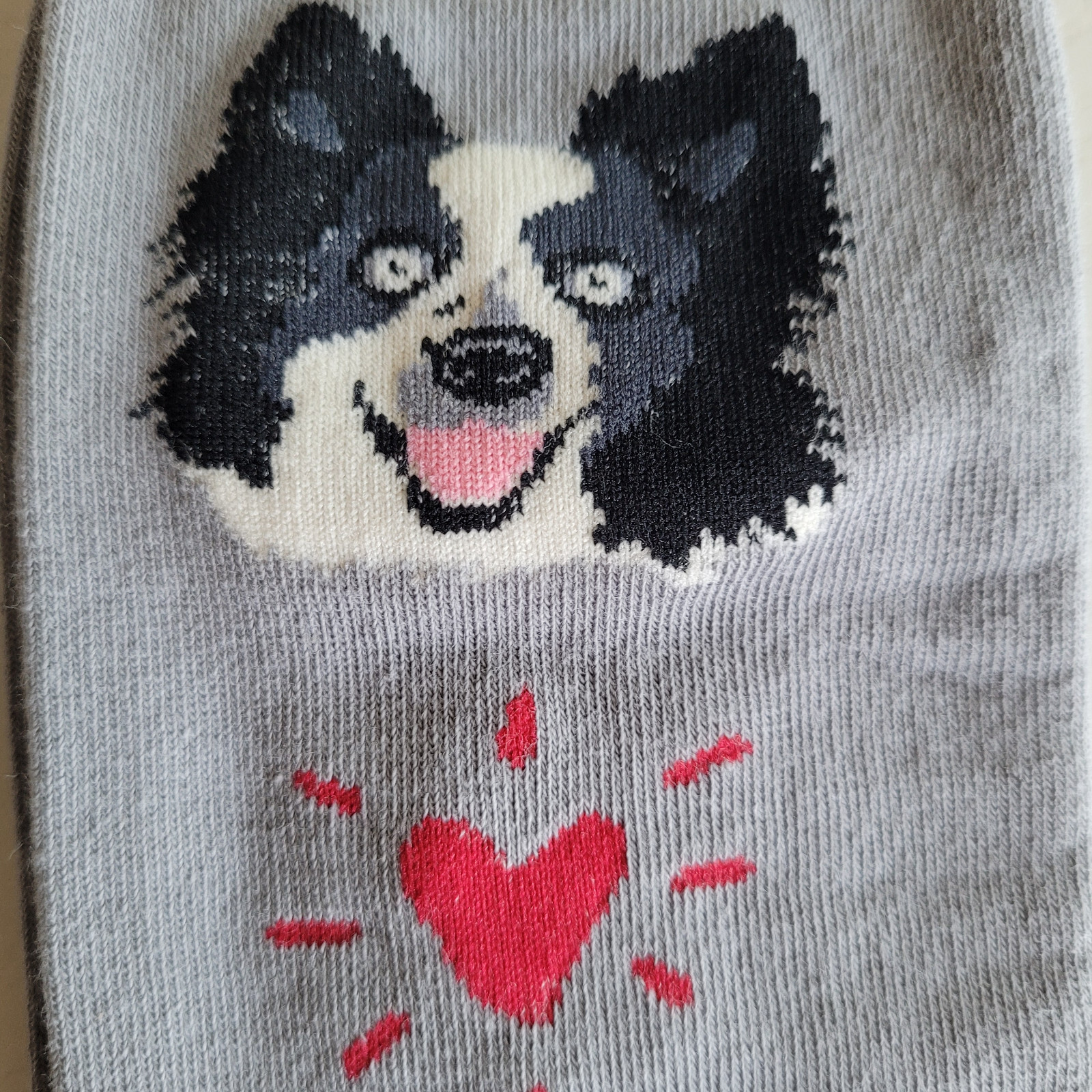 Border Collie Dog Socks Fun Novelty Dress Casual Unisex SOX FineFit One Size Pup
