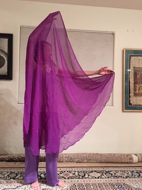 Half Circle Rhinestone Belly Dance Veils