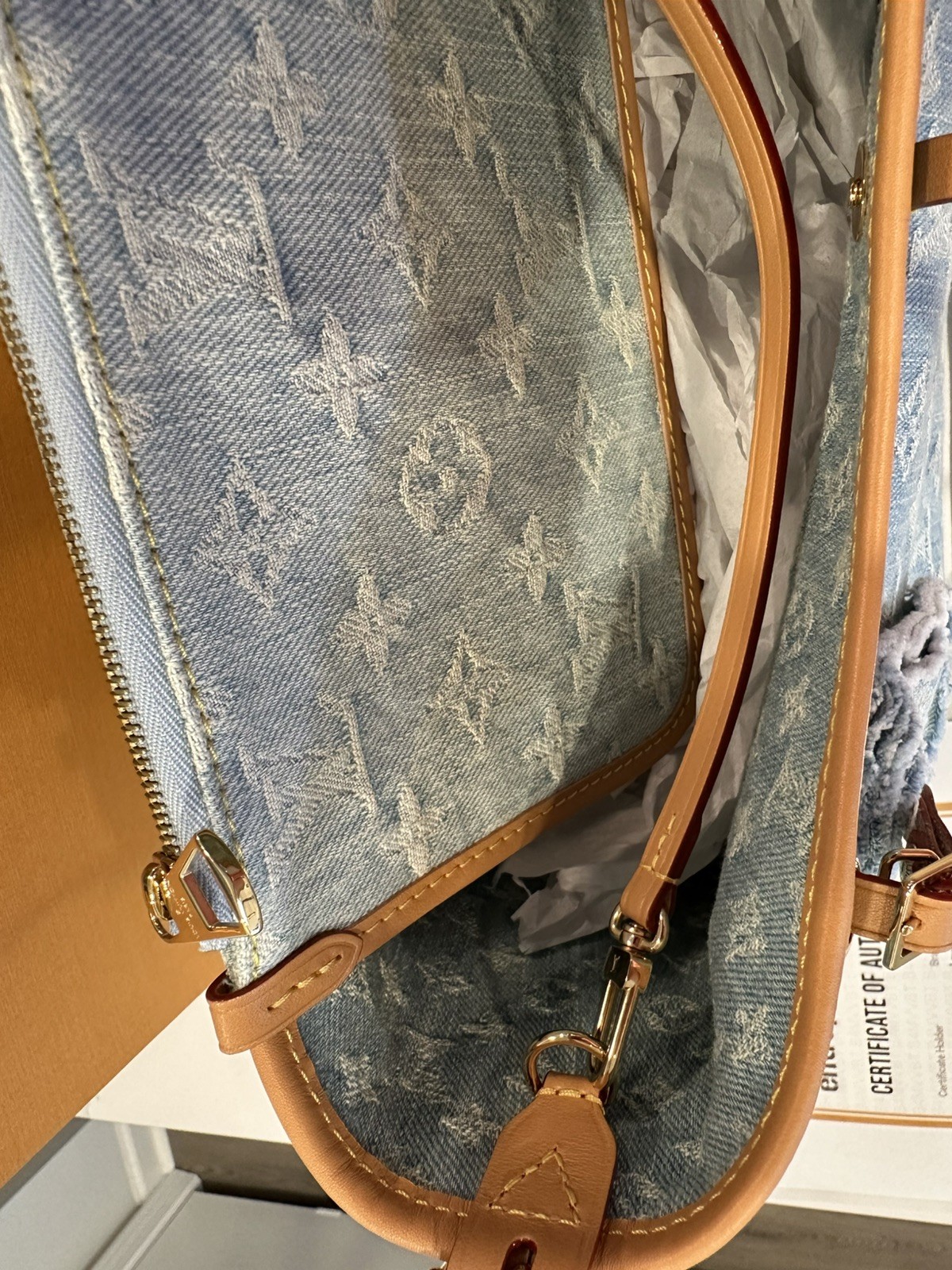 Louis Vuitton Monogram Denim CarryAll PM Sky Blue Limited Edition with Pochette