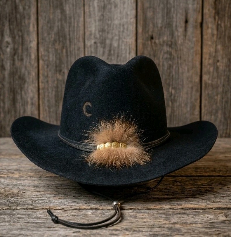 Vtg Charlie 1 Horse 10X Beaver Cowboy Hat Custom 7 3/8 Black Fur Band Gold Coins