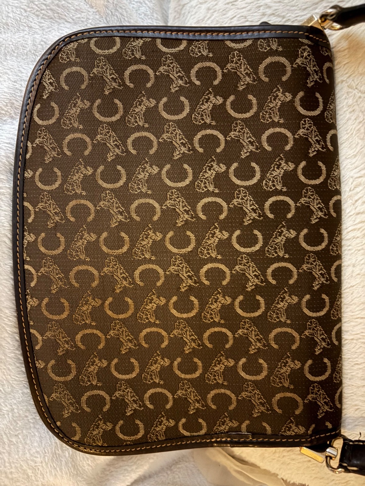 Celine EL450 horse carriage crossbody bag