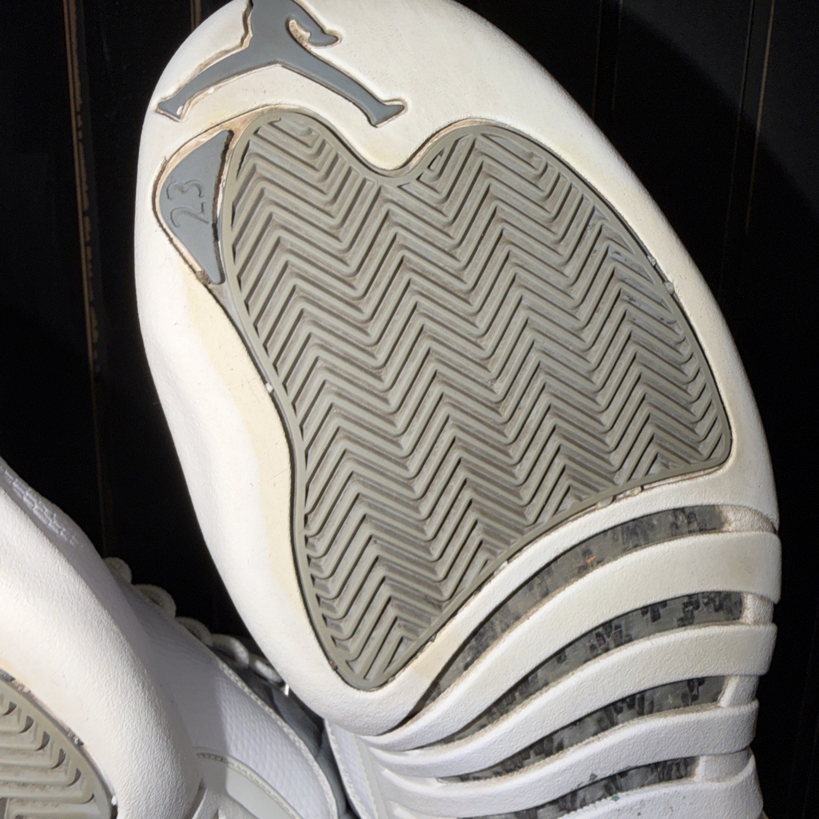 Size 10.5 – Jordan 12 Stealth 2022