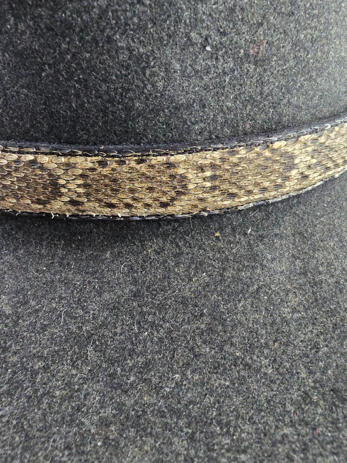 RATTLESNAKE skin hat band adjustable and rattlesnake bone Western cowboy cowgirl
