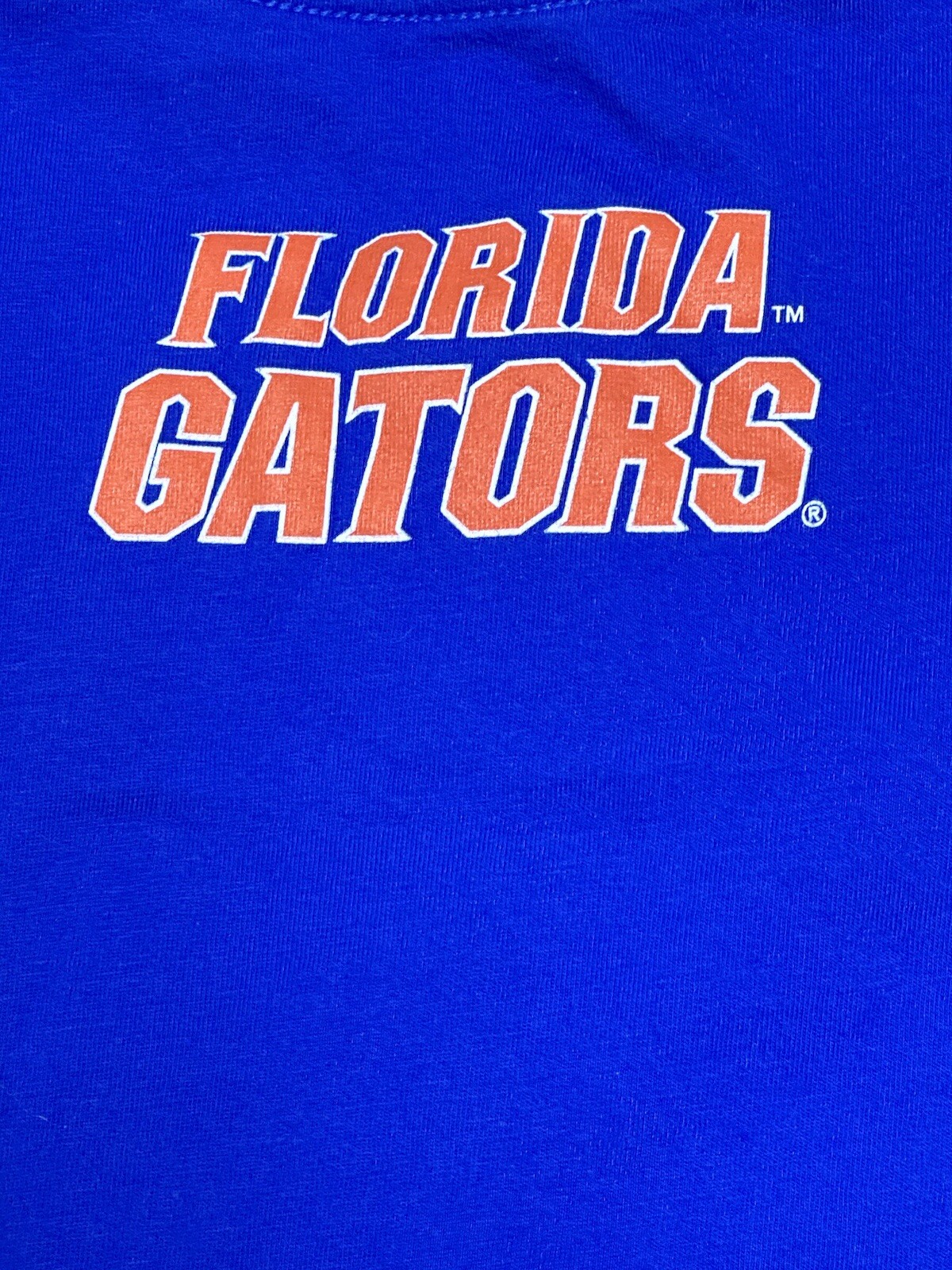 Nike T Shirt Men’s 3XL Blue Orange Florida Gators Football Graphic Tee Casual
