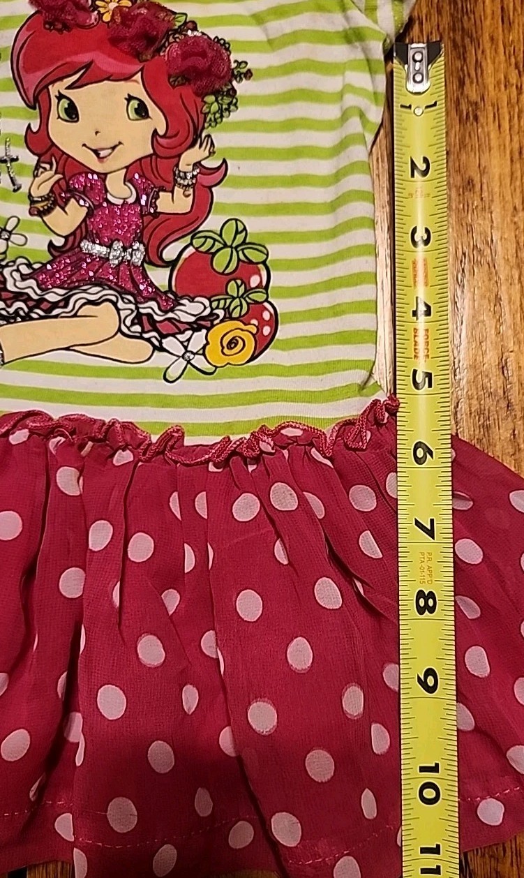 Cute Strawberry Shortcake 12 Months Shirt Skirt 2014