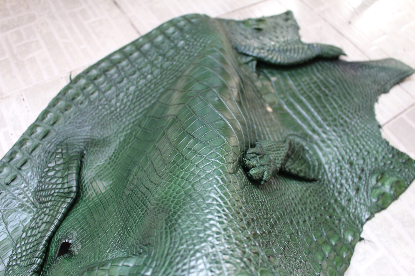W 1.3 inch – Green Genuine Crocodile Belly Leather Skin Men’s Belt #L50