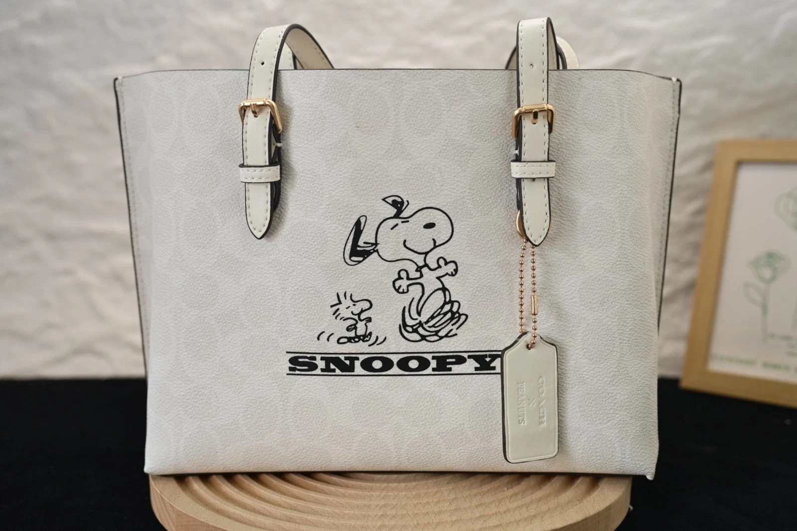 COACH × PEANUTS Collaboration Mollie Tote Bag 25 Snoopy CBJ87 Canvas New Outlet