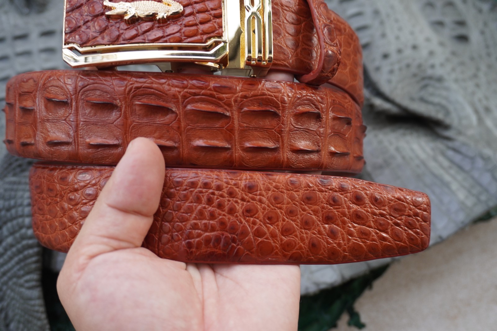 Cognac Genuine CROCODILE Hornback LEATHER Skin Men’s Belt -W 1.5 inch # C65
