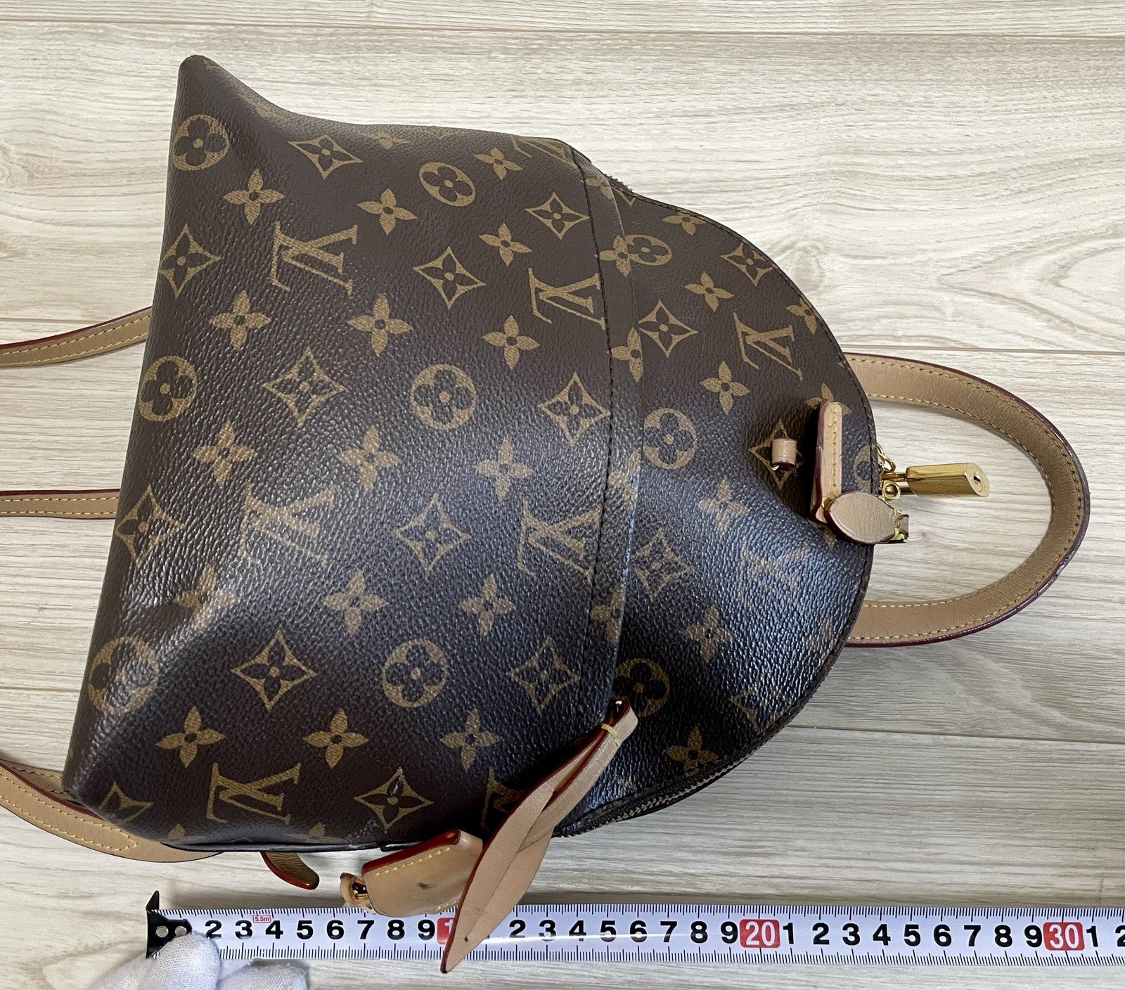 Louis Vuitton Monogram Moon Backpack M44944 Authentic