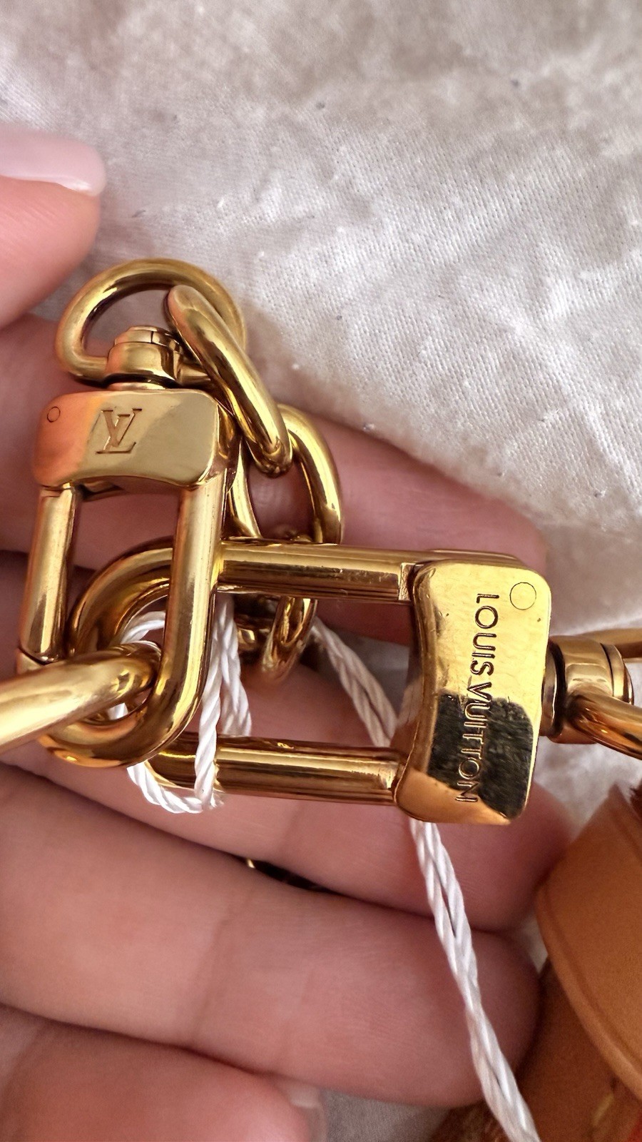 Louis Vuitton Loop Monogram 2024 microchipped