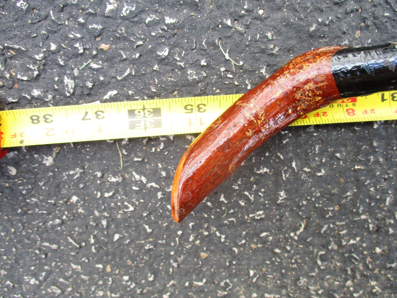 Vintage 35-1/2″ Blackthorn Walking Stick Black Thorn