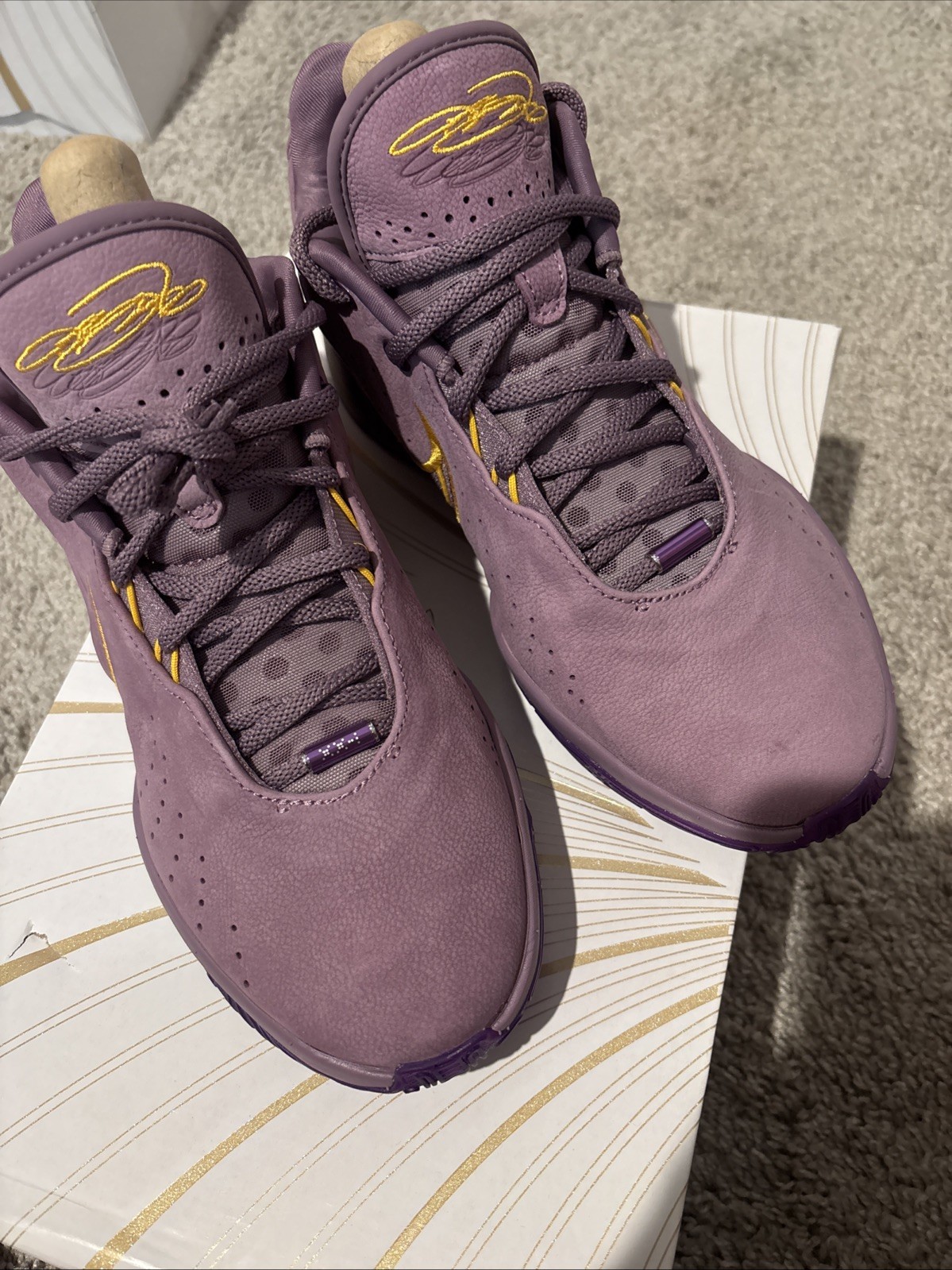 LEBRON XXI Violet Dust/University Gold