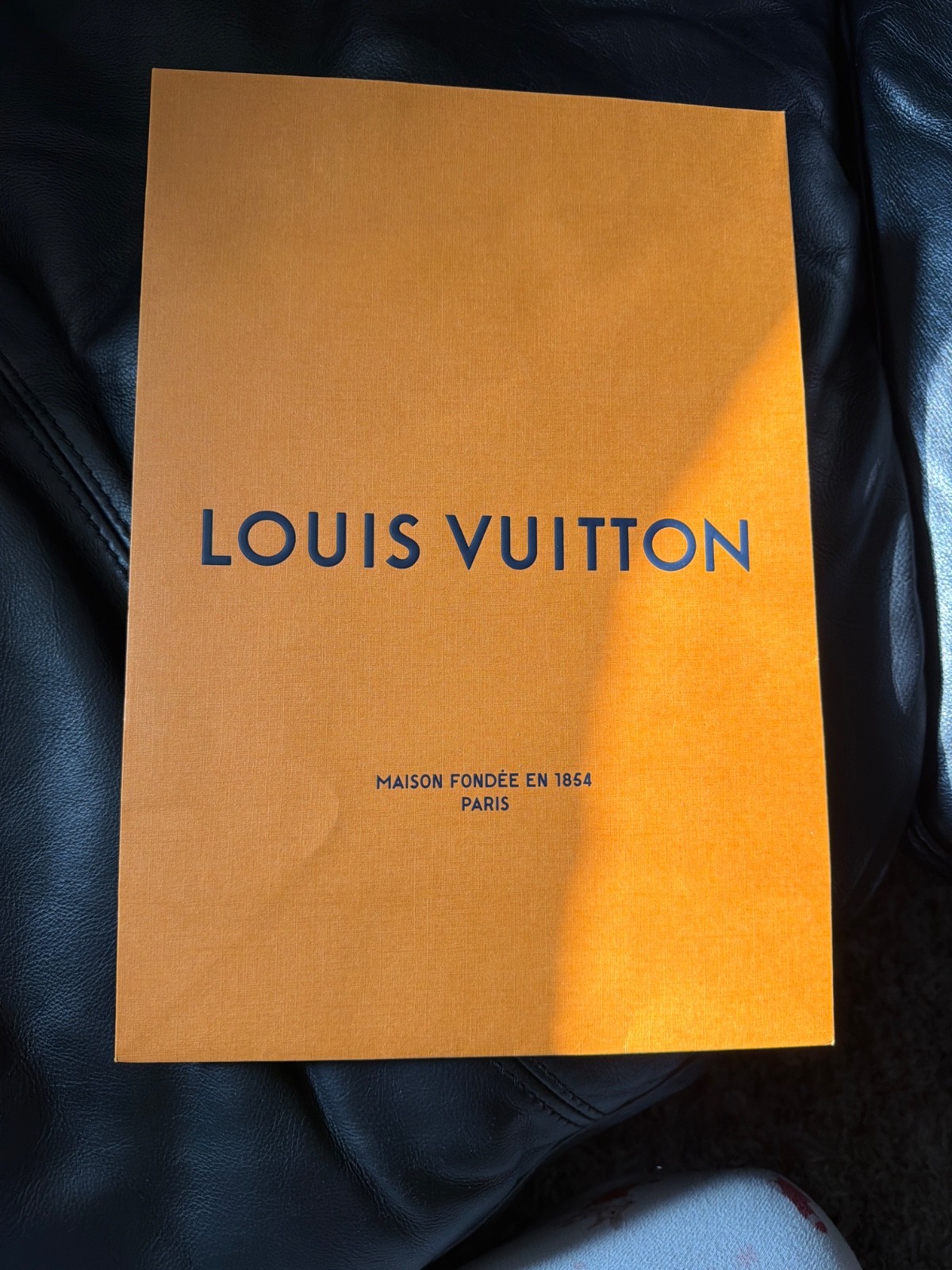 shopping bag Louis Vuitton