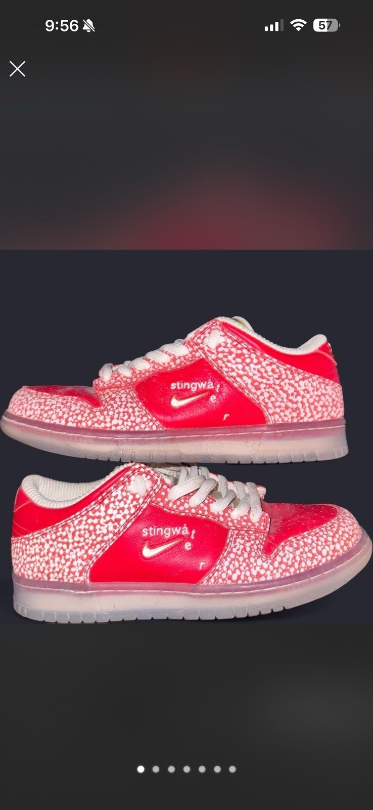Nike Stingwater x Dunk SB Low Magic Mushroom Speckled Red/White DH7650-600