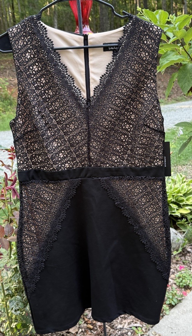 Lulus Black Lace V-Neck Sleeveless Lined Bodycon Short Dress Women’s XL