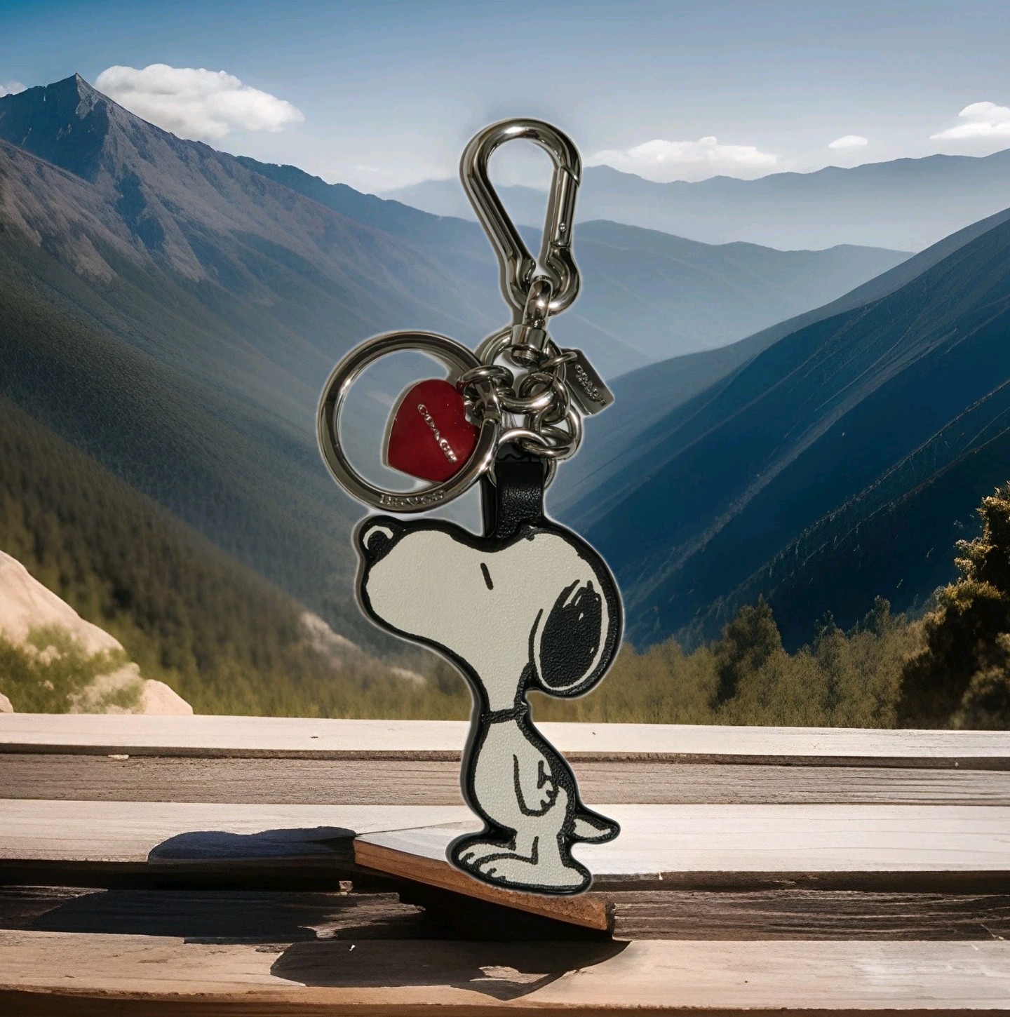 NEW Coach Snoopy Peanuts Kissing Red Love Heart Keychain Bag Charm Fob F65164