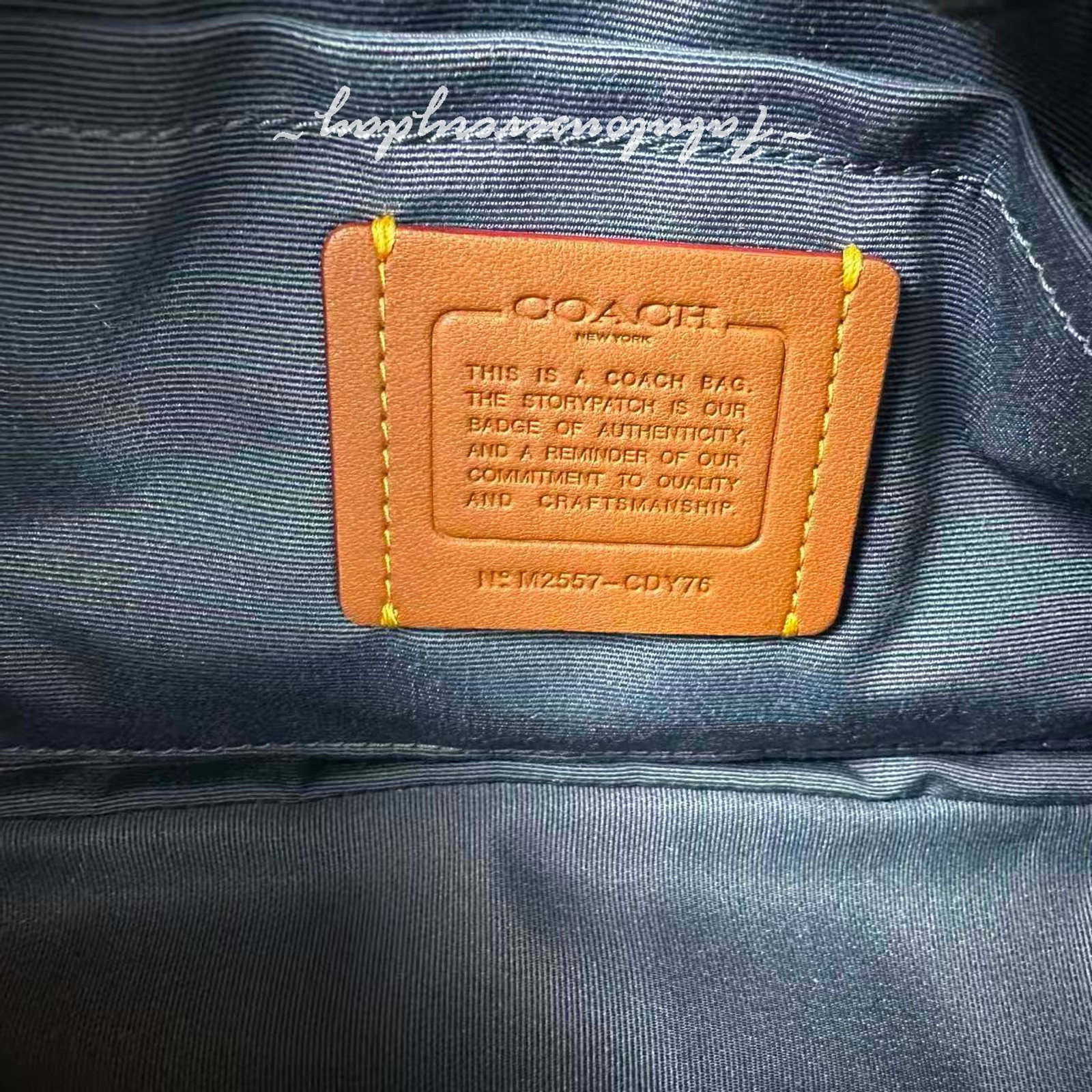 Coach Teri Shoulder Bag In Loved Denim With Charms Gold/Light Indigo CDY76 NWT