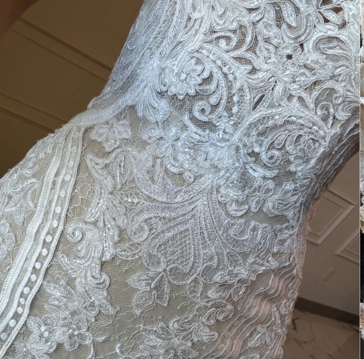 Martina Liana D3657 Size 6 Ivory Lace V-Neck Mermaid Fit & Flare Train