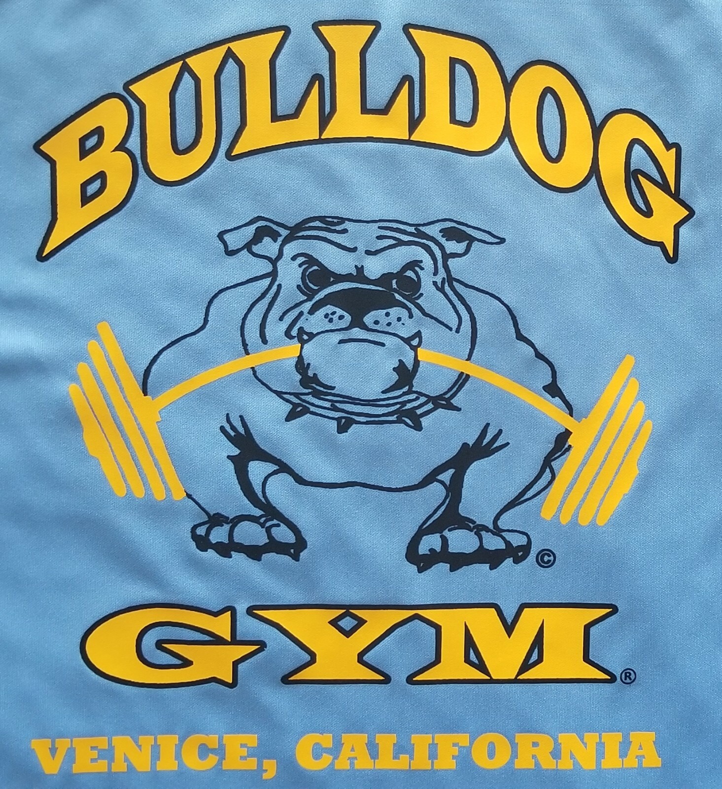 Bulldog Gym Muscle Workout Bodybuilding Blue / Vintage Gold T-Shirt NEW M L XL