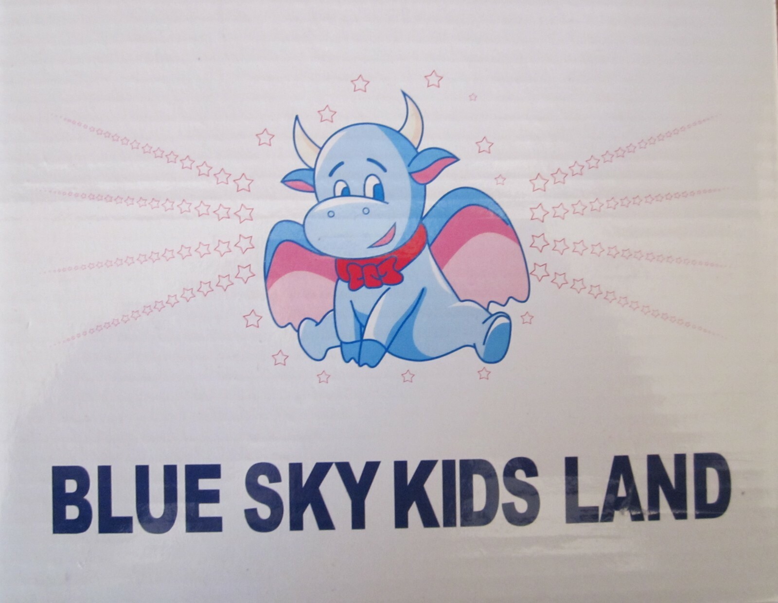 Blue Sky kids land baby shoes