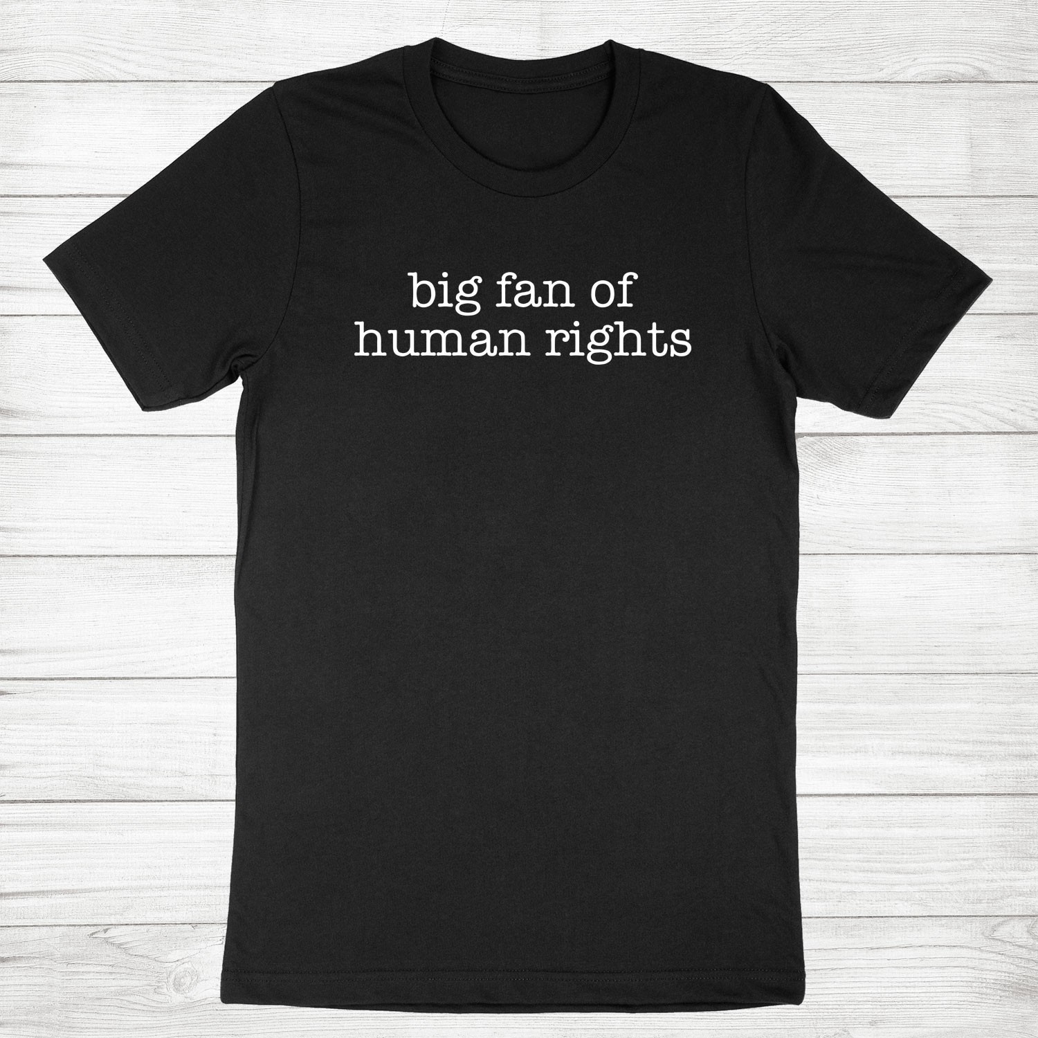 Big Fan Of Human Rights Shirt Equality Social Justice Political Protest Shirt