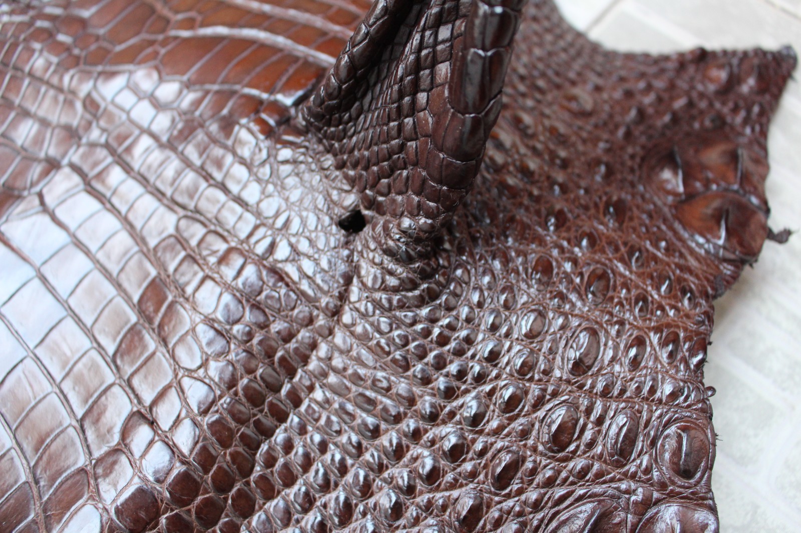 W 1.3 inch – Brown Genuine Crocodile Belly Leather Skin Men’s Belt #Q16