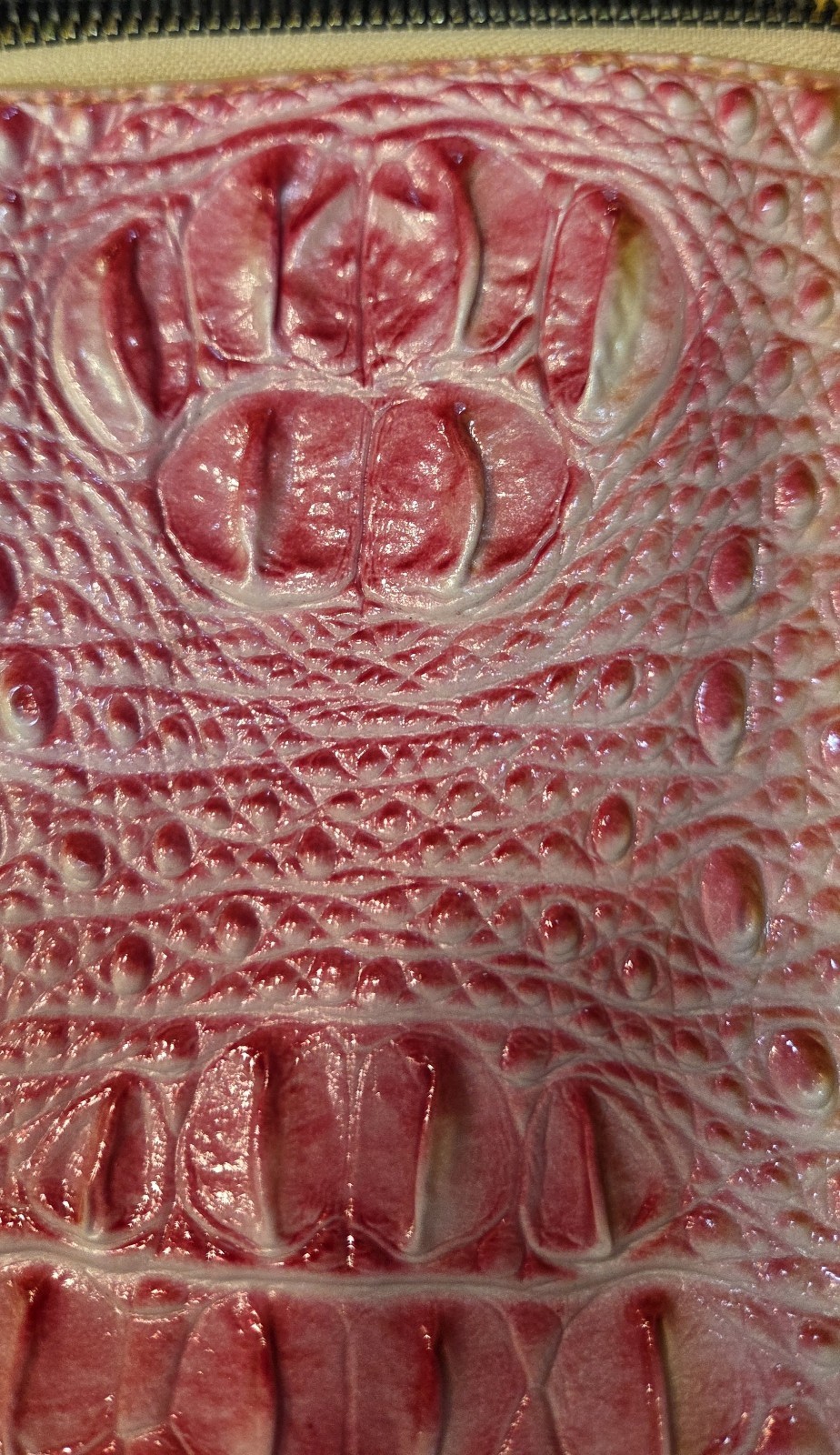 Embossed Crocodile Ombre Purse Handbag 14 In X 10 In