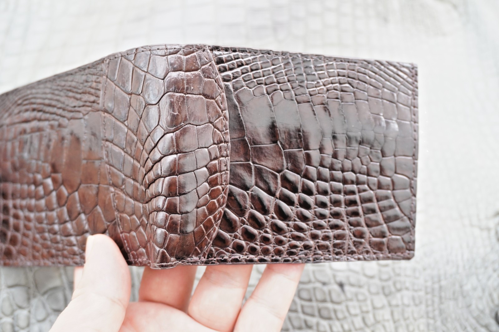 Money Clip Genuine Crocodile Skin Leather Bifold Men’s Wallet Real Brown #P19