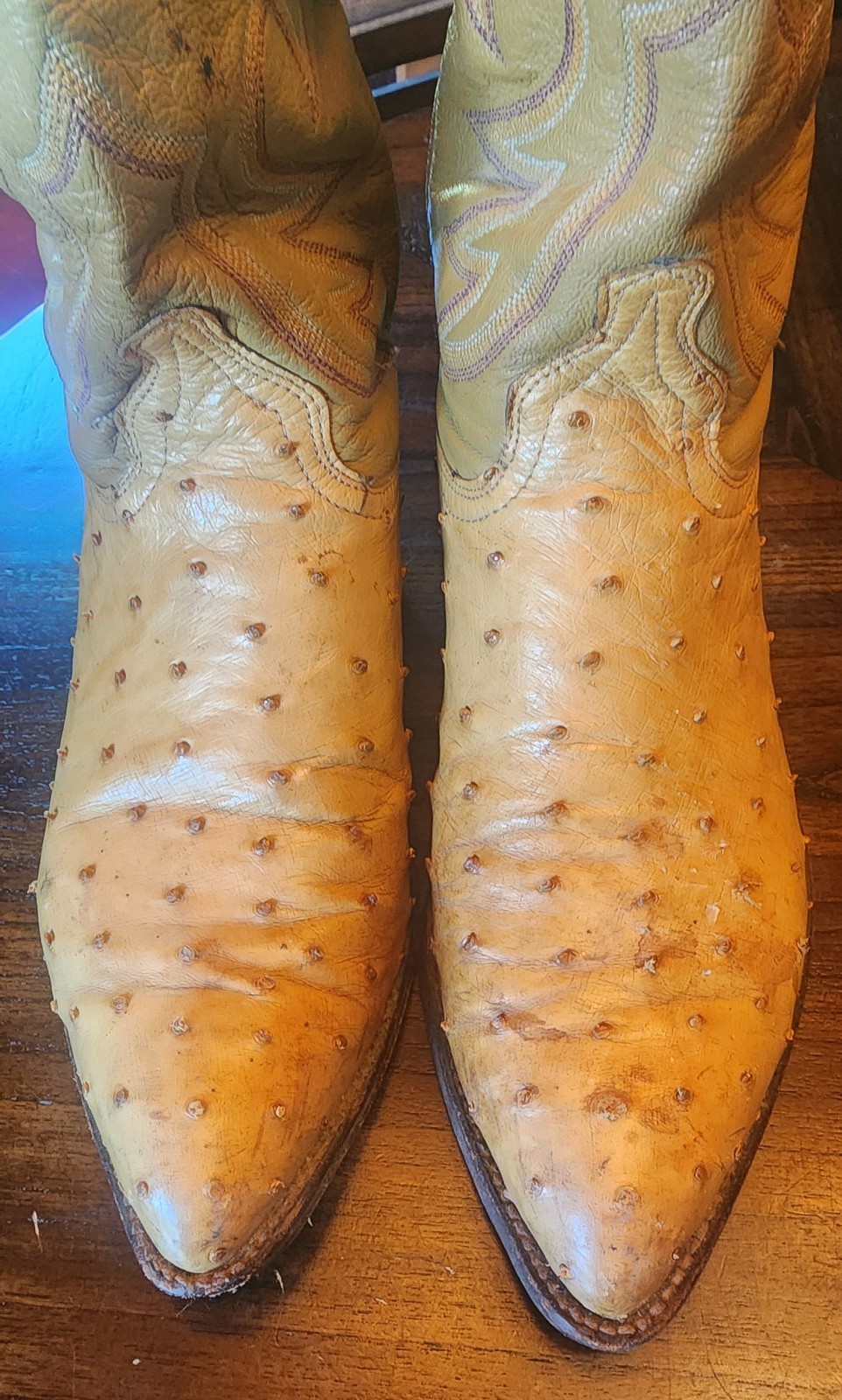J. Chisholm Men’s Full Quill Ostrich Leather Boots 10D