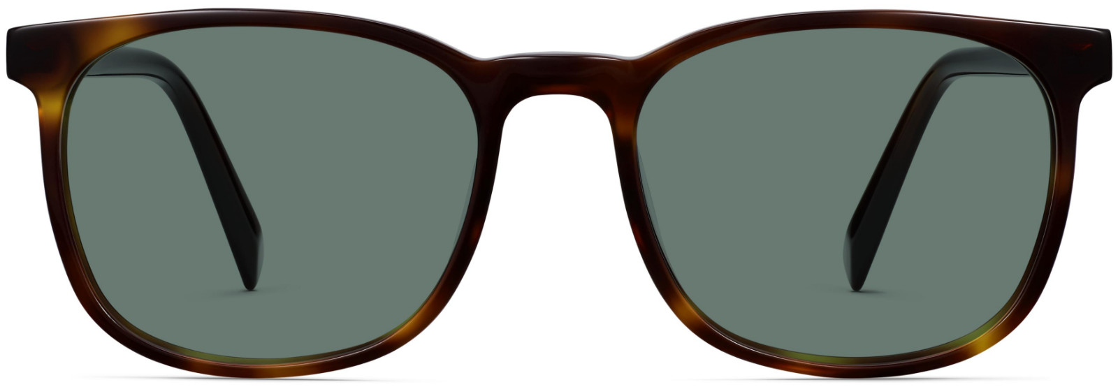 Warby Parker BODIE Sunglasses RYE TORTOISE Wide 54-19-145 mm – BOX & CASE NEW