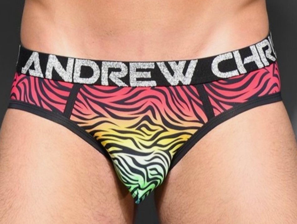 Andrew Christian Pride Zebra Brief – 91795 – Small, Medium & Large