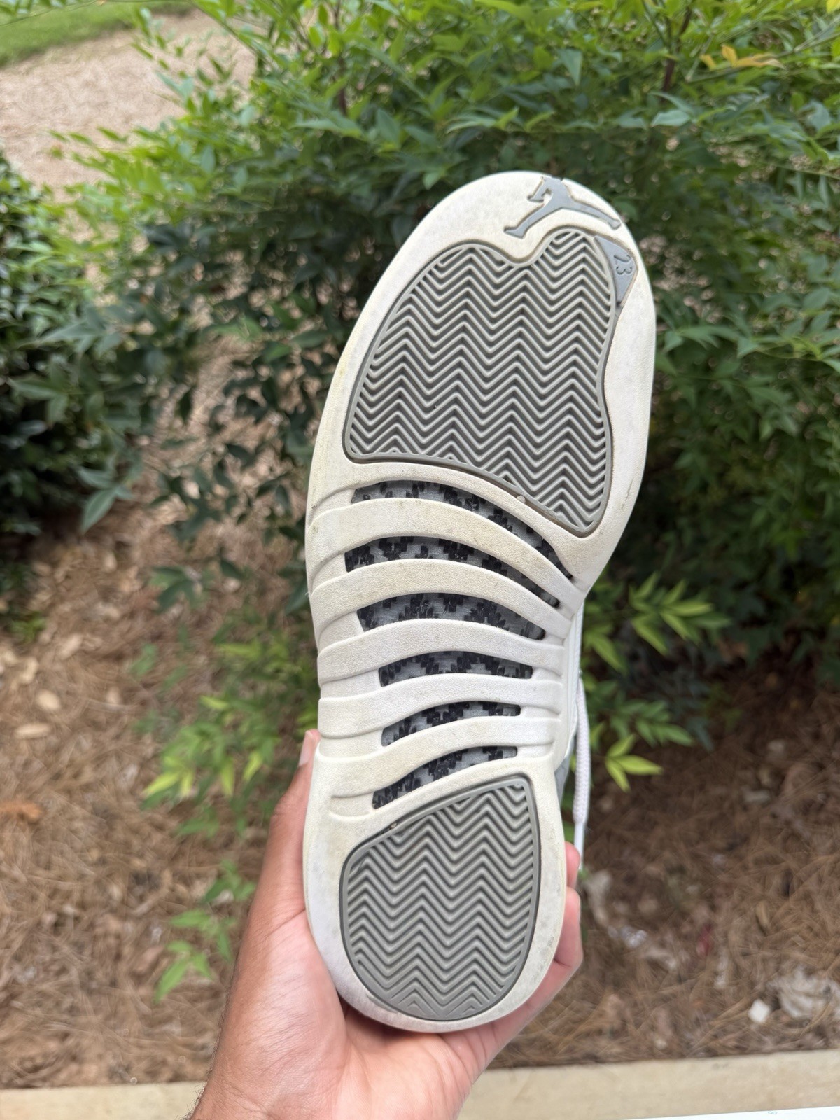 Size 12 – Jordan 12 Stealth 2022