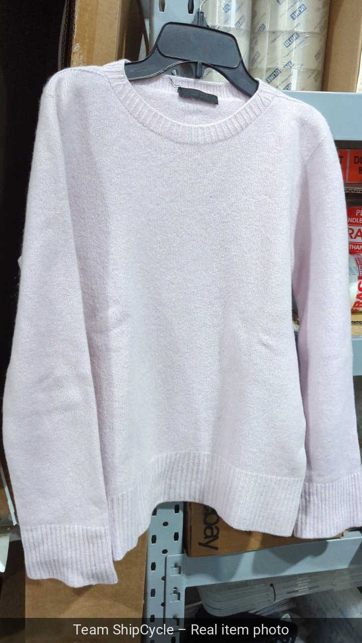 The Row Sibem Sweater Wool Cashmere in Pink Size XSmall G2U