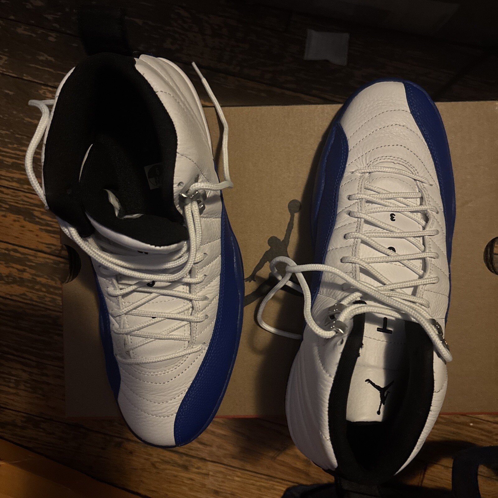 Air Jordan Retro 12