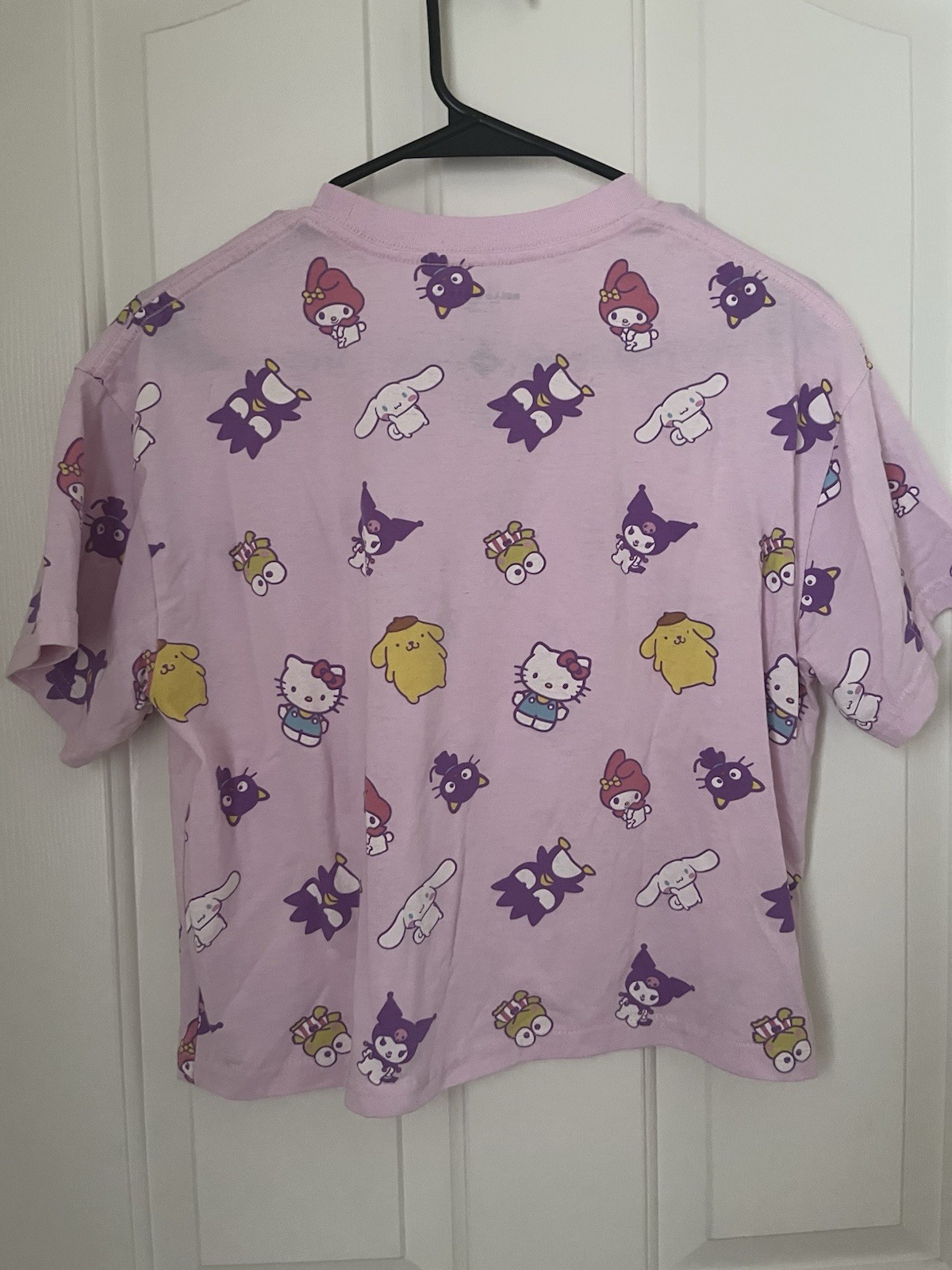 Sanrio Crop Tops Bundle
