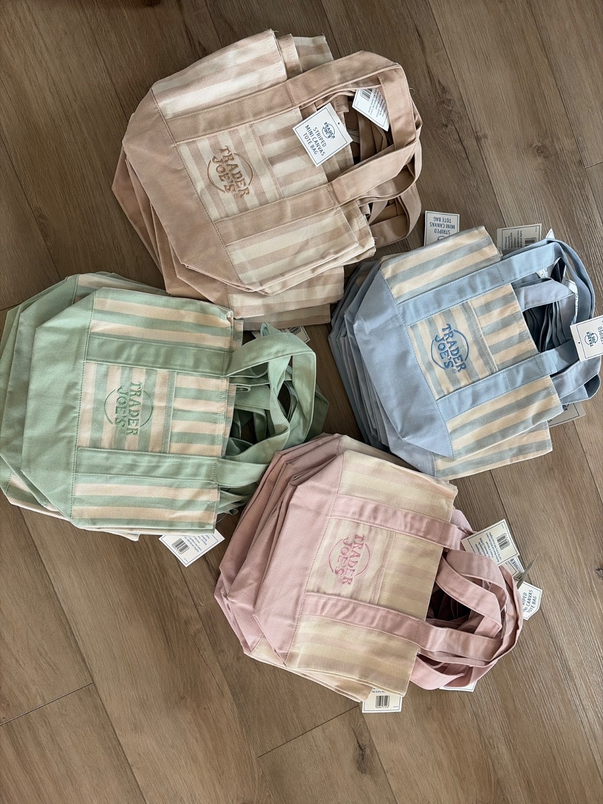 Trader Joe’s Striped Mini Canvas Tote