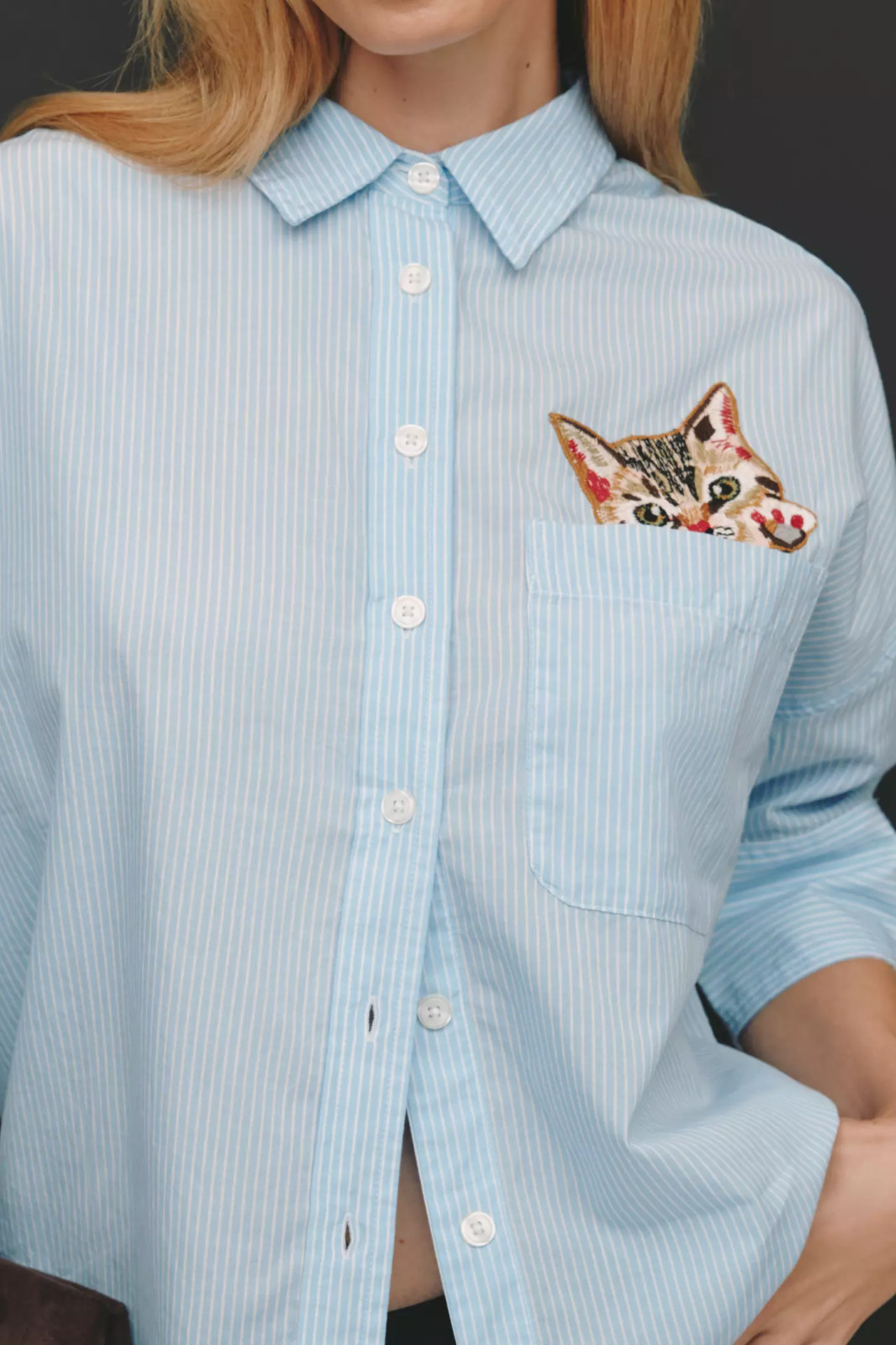 Anthropologie Maeve Mabel Boxy Oxford Embroidered Shirt Blue Stripe Cat S NEW