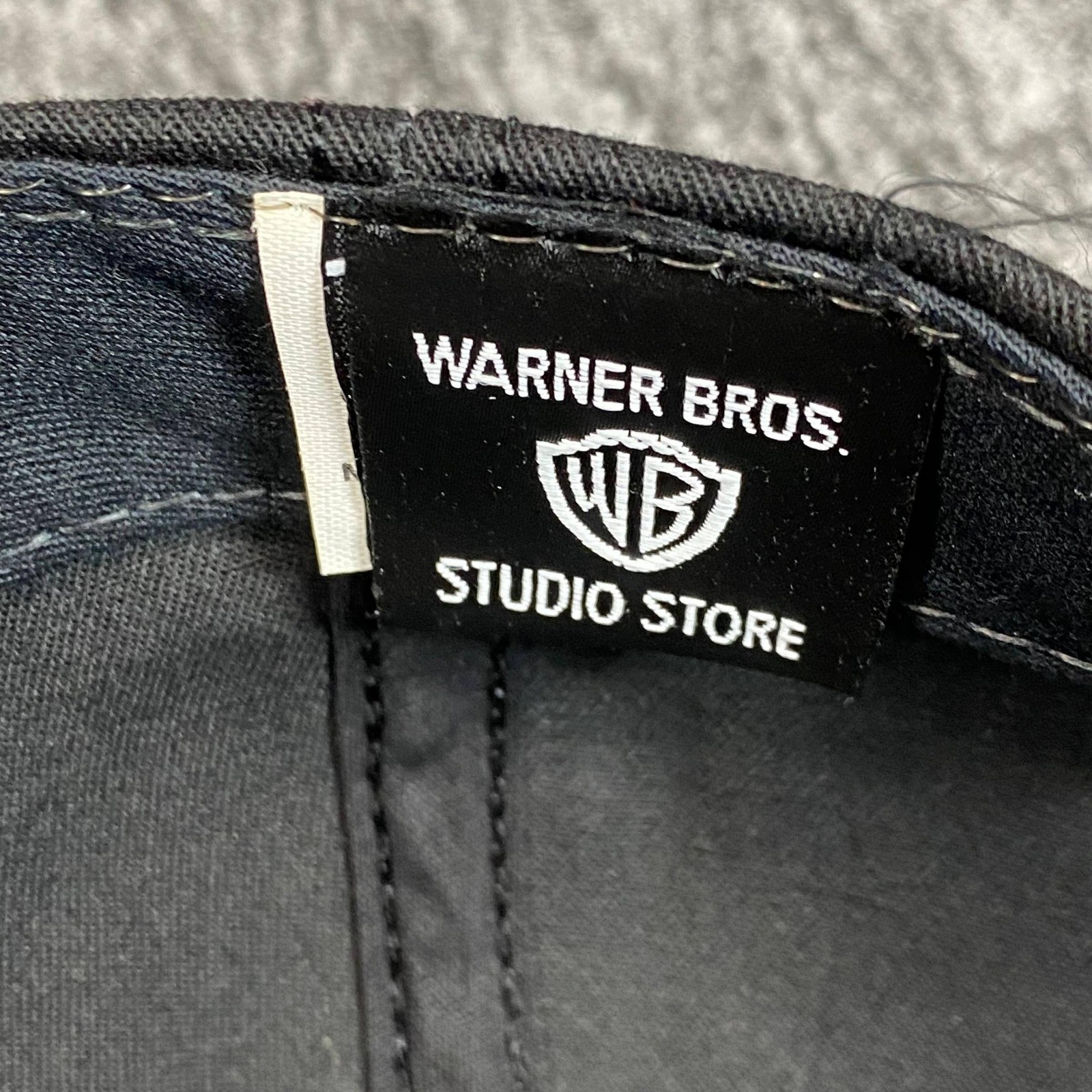 Vintage 1996 Sylvester the Cat Hat Warner Bros Studio Store Snapback Cap USA