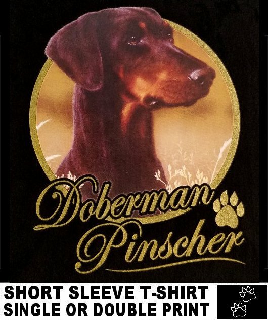 VERY CLASSY COOL DOBERMAN PINSCHER DOG ART WITH GOLD LETTERING DOG T-SHIRT XT716