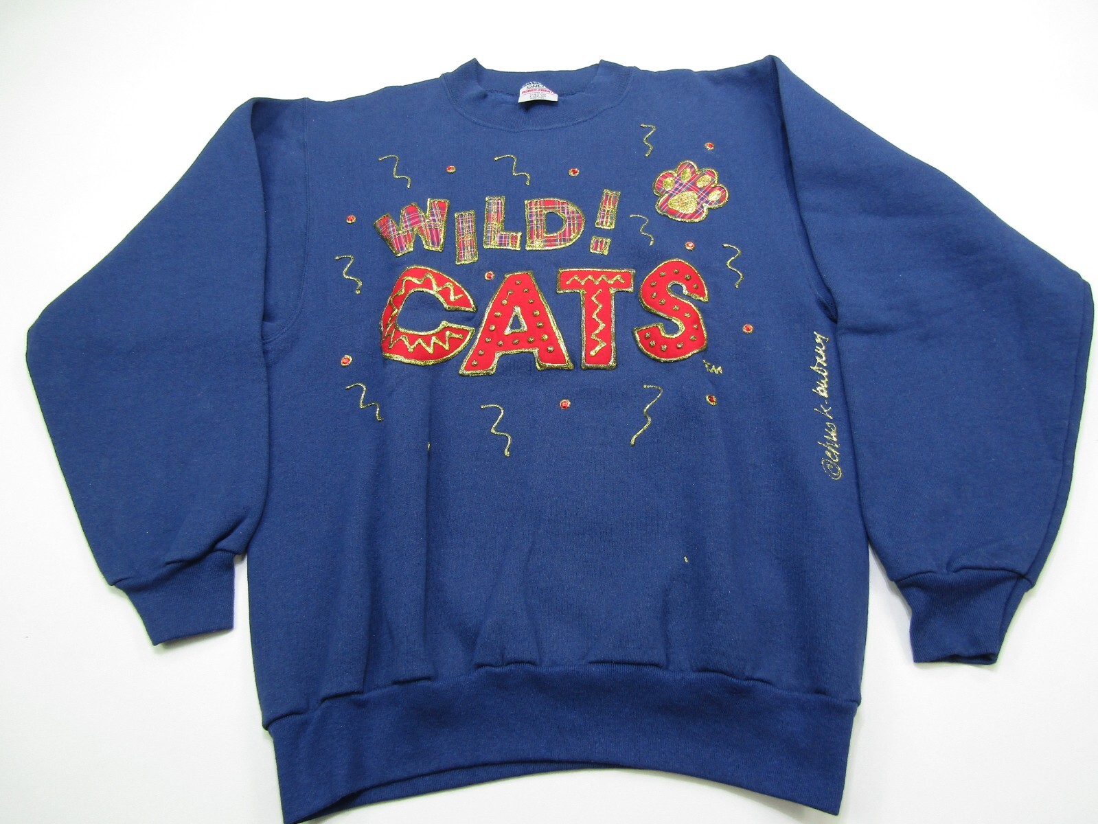 VTG Arizona Wildcats Sweatshirt Mens L Handmade Glitter College Retro Blue