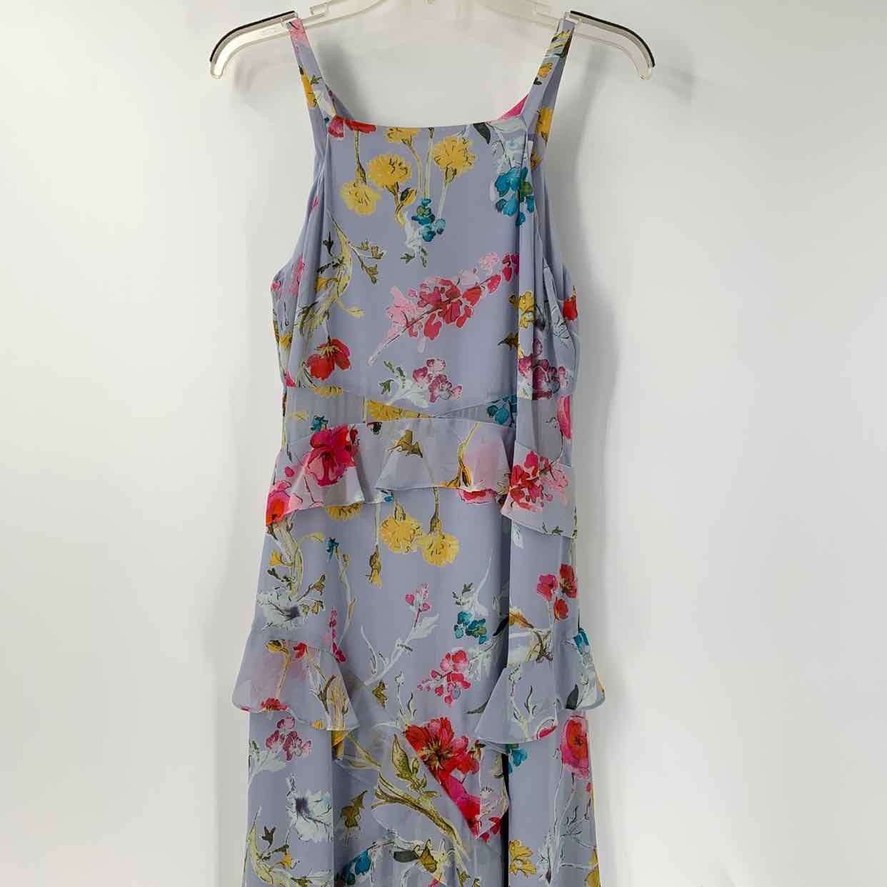 Size 4 RACHEL ROY Lavender Multi-Color Floral Dress