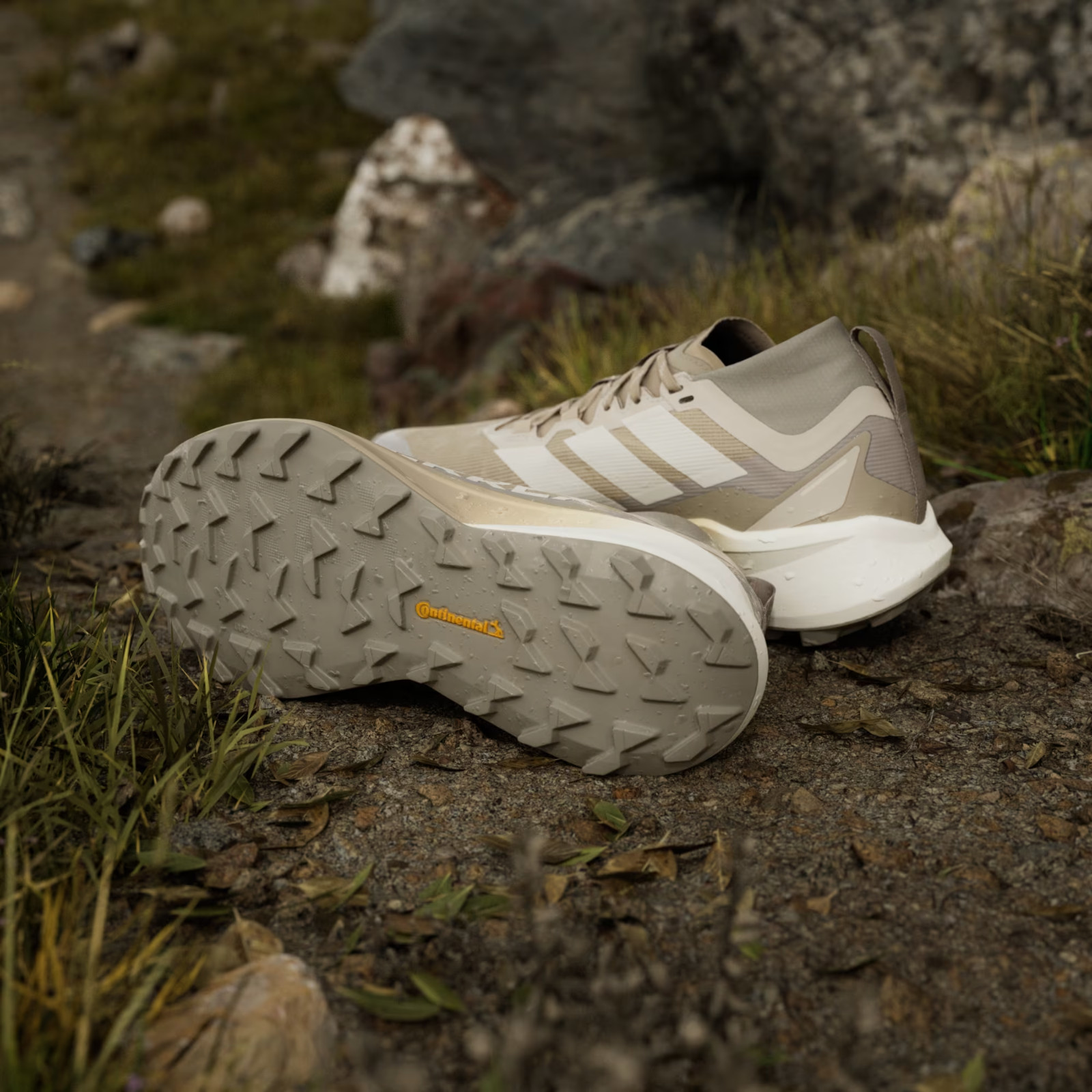adidas TERREX AGRAVIC GTX TRAIL RUNNING JR1507 Blanch Cargo / Alumina / Beige