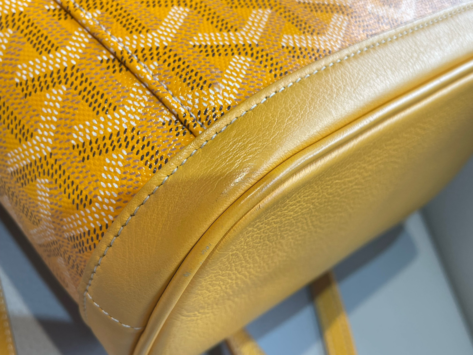 Goyard Alpin Mini Canvas Backpack（ 23×9.5×19 ）cm